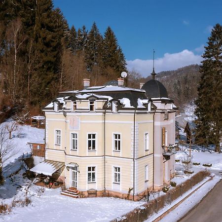 Penzion Vila Julie Йилемнице Экстерьер фото