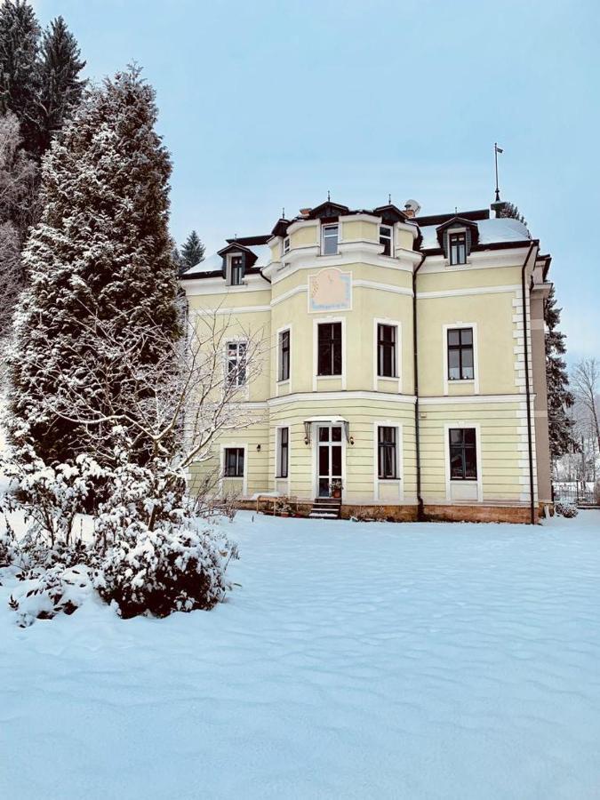 Penzion Vila Julie Йилемнице Экстерьер фото