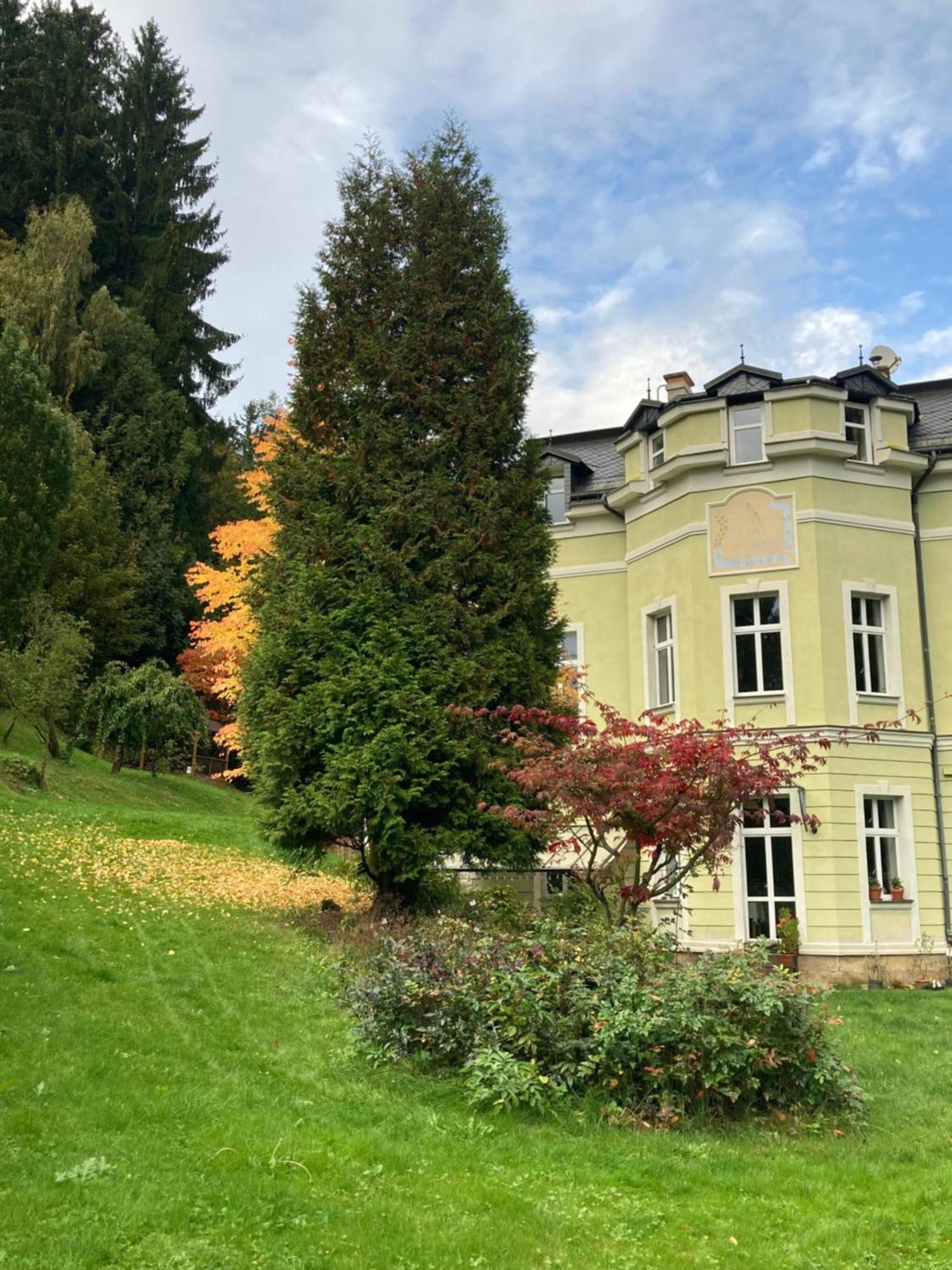 Penzion Vila Julie Йилемнице Экстерьер фото