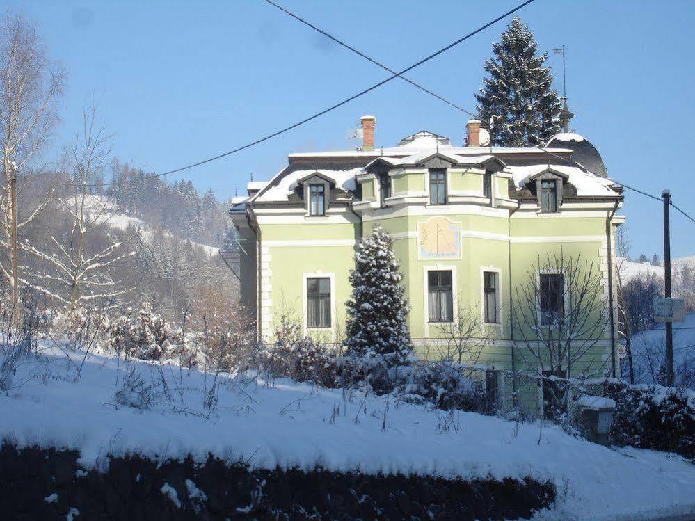 Penzion Vila Julie Йилемнице Экстерьер фото